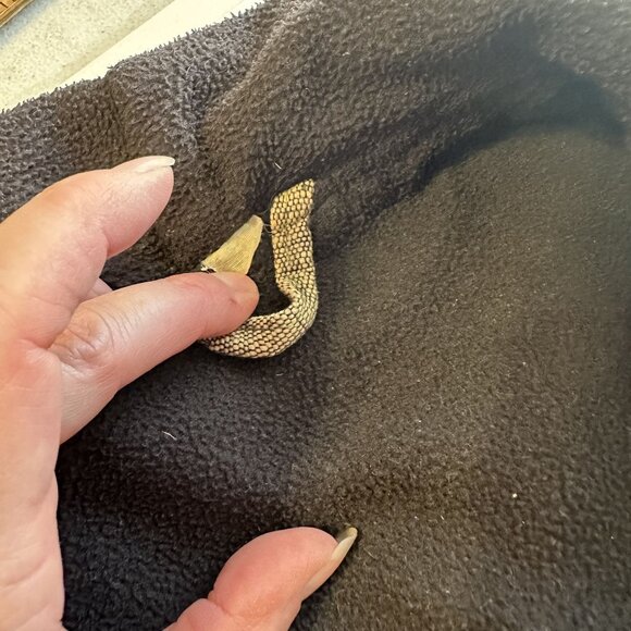 Womens Tan Jacket Zip Up Large Weave Yellow Brown Black Lining Hood Work Wear - Picture 6 of 10